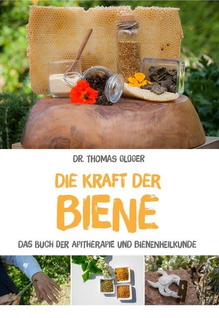 zeigt das Cover vom Buch Kraft der Biene