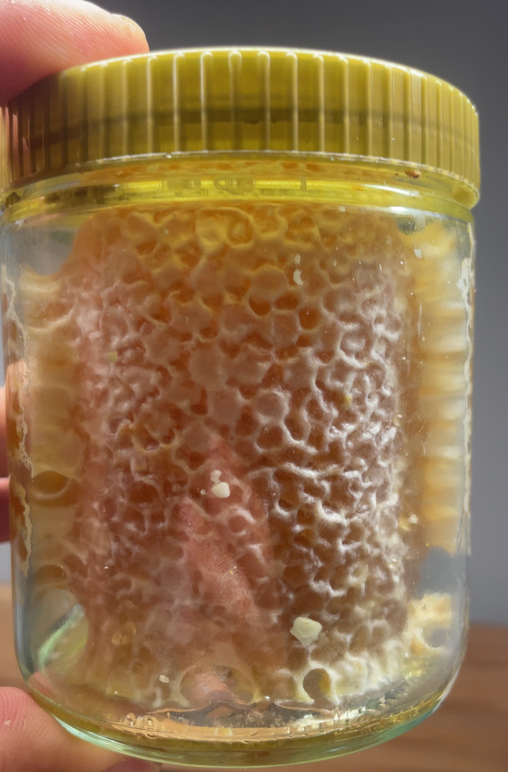 Bio Wabenbau im 500g Glas Wabenhonig