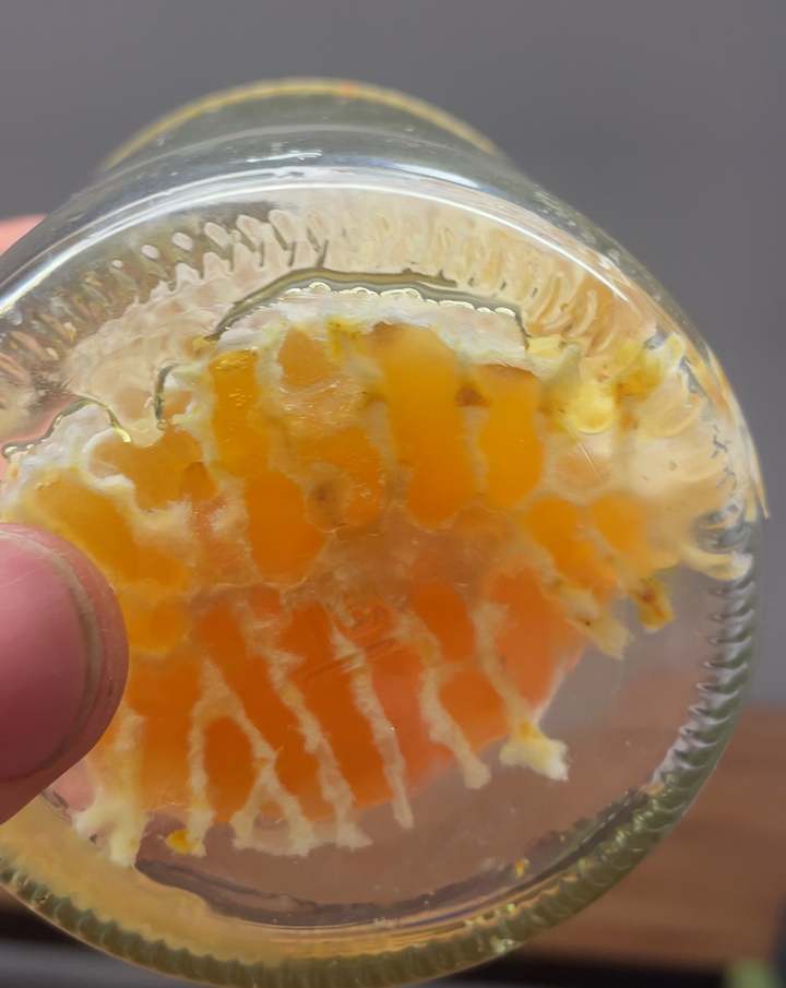 Bio Wabenbau im 500g Glas Wabenhonig