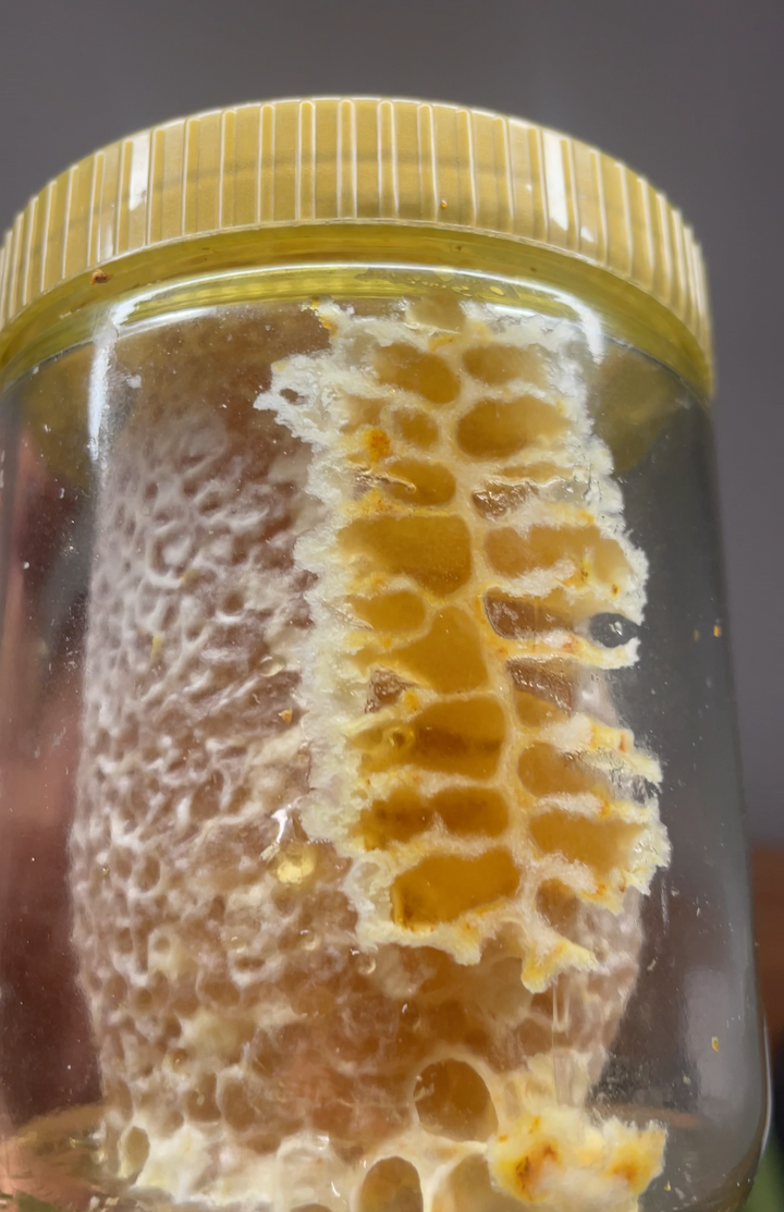 Bio Wabenbau im 500g Glas Wabenhonig