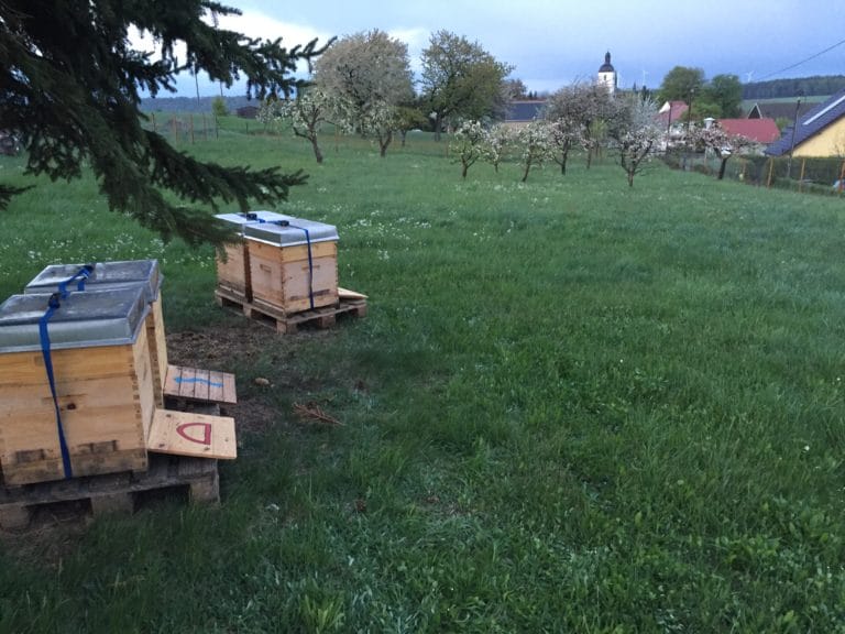 Mieten von Bio-Wirtschaftsvölkern ab 199 €