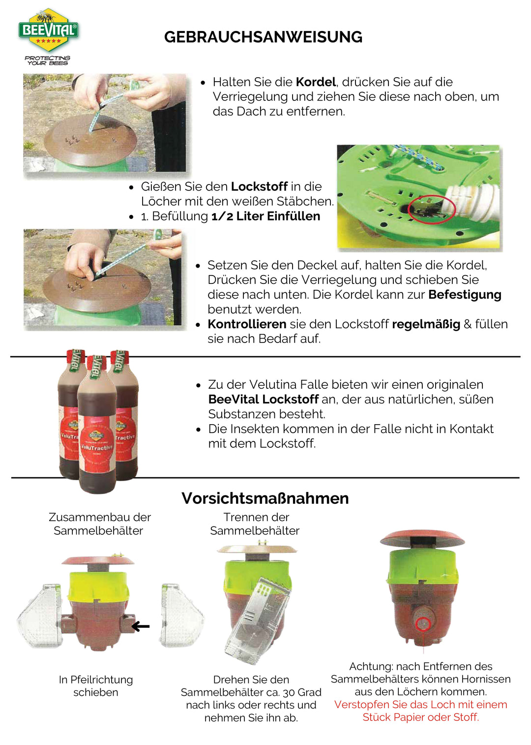 BeeVital Vespa Velutina Falle