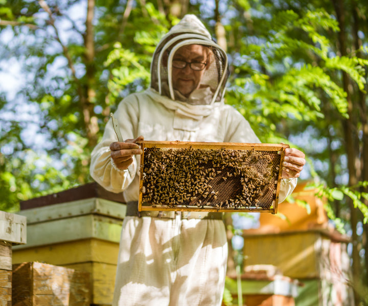 Bio Akazien Honig 230 g