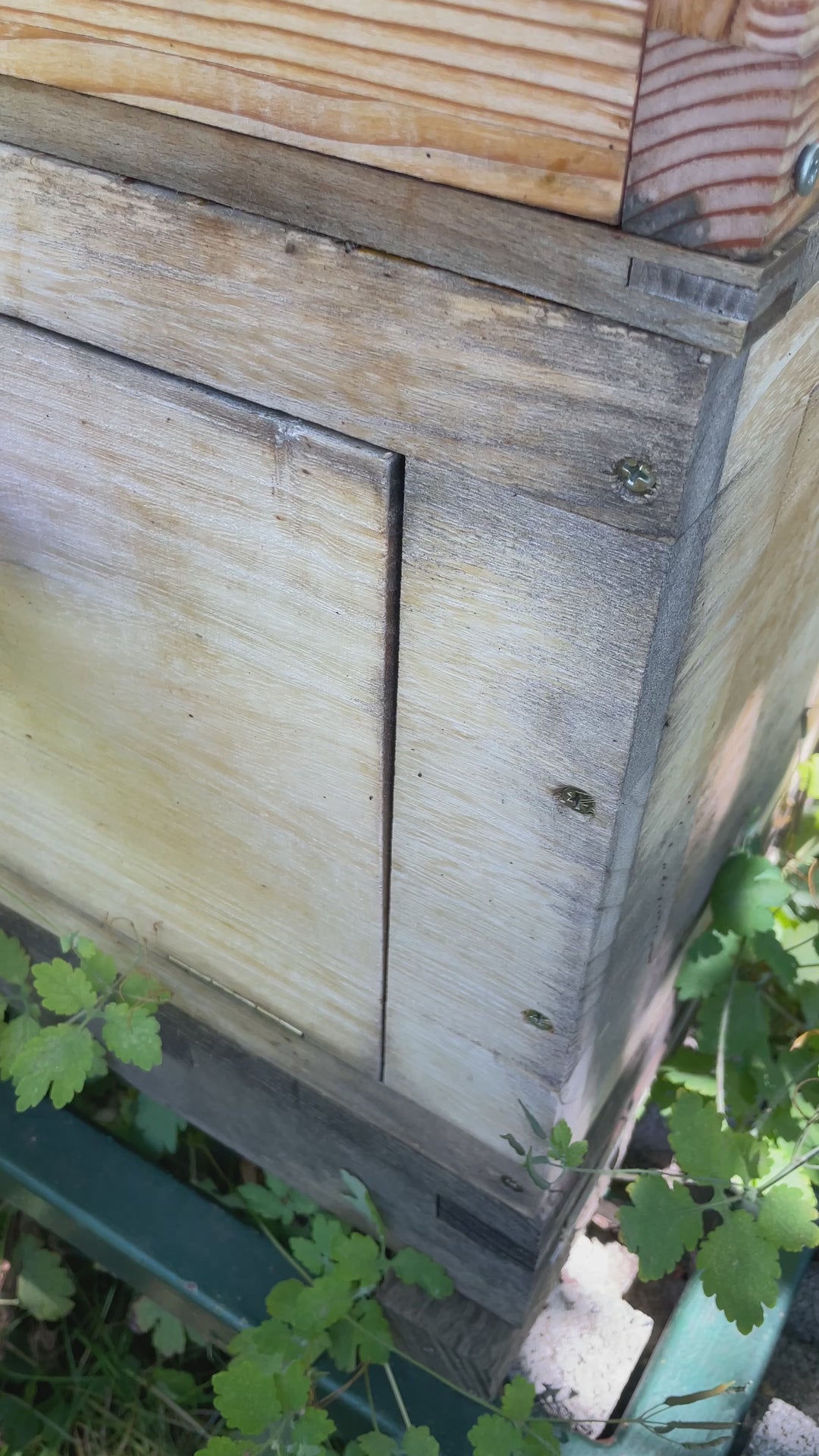 Bio Wabenbau im 500g Glas Wabenhonig