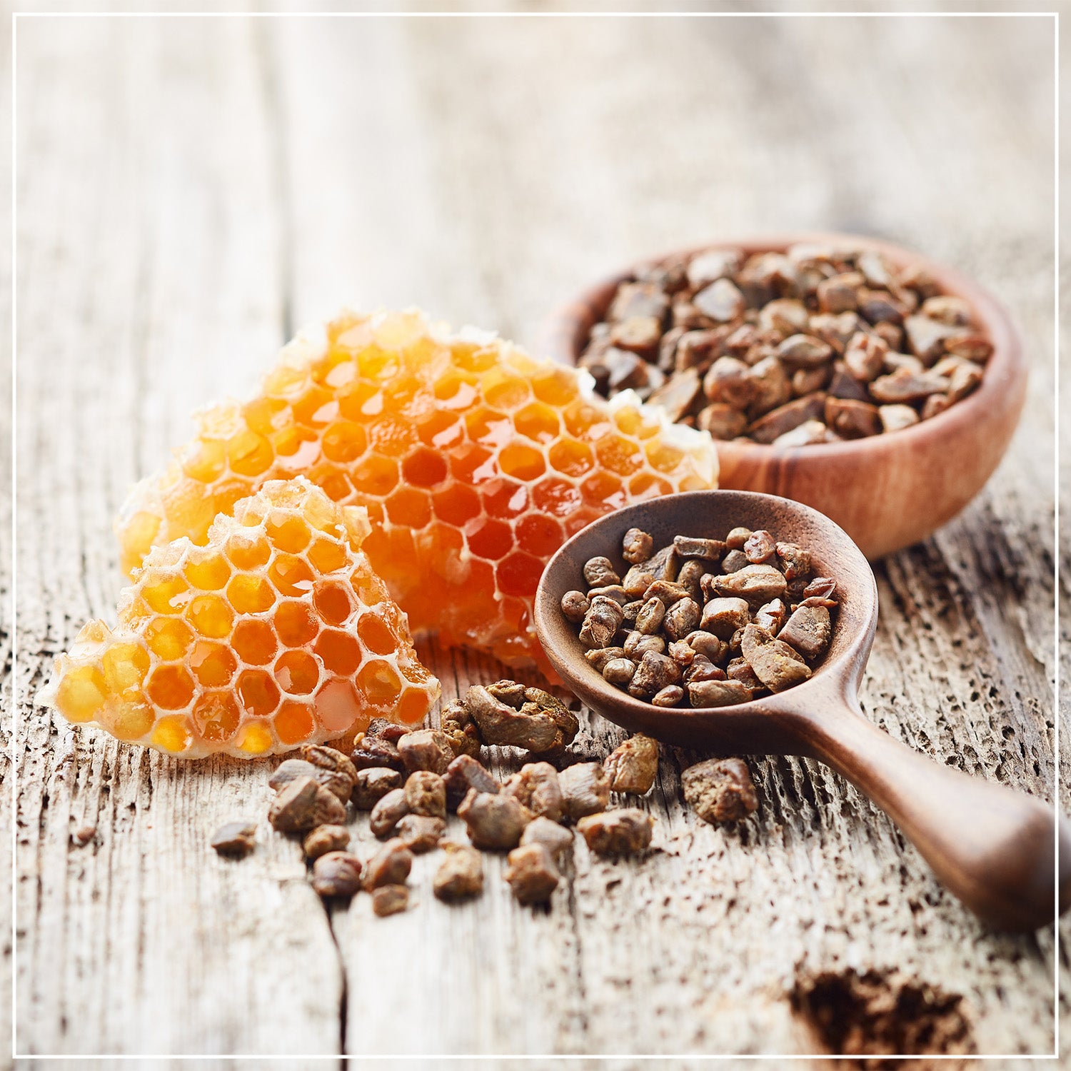 Propolis