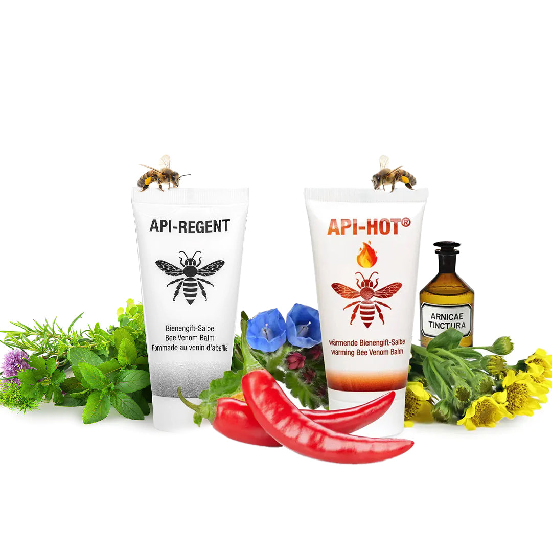 Api Bienengift Salben Set – API-HOT und API-REGENT Bienengift-Salben von Schlosswald