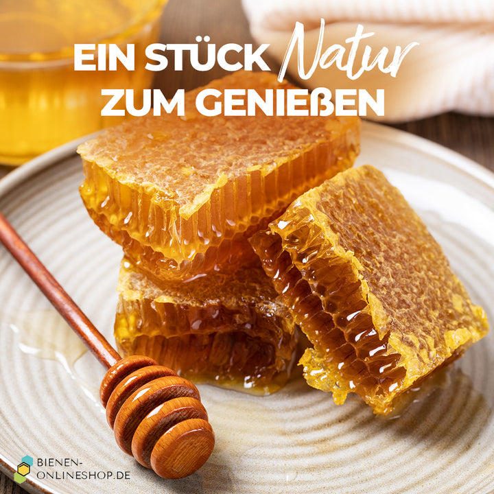 Bio Wabenhonig Frühlingshonig – frische Wabenstücke zum Genießen, direkt vom Imker