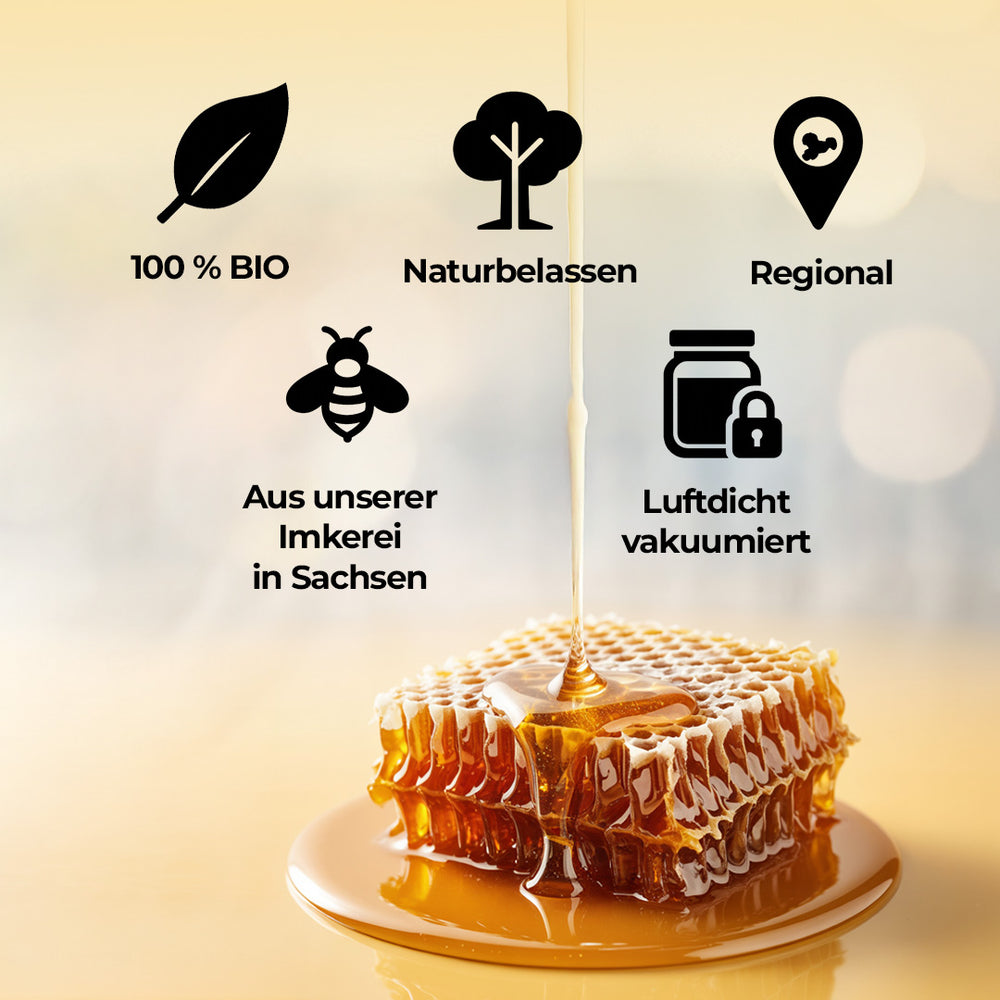 Bio Wabenhonig kleines Holzrähmchen – Detailansicht frischer Bienenwabe