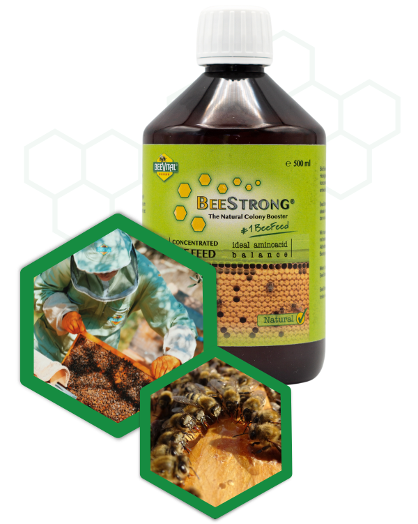BeeStrong