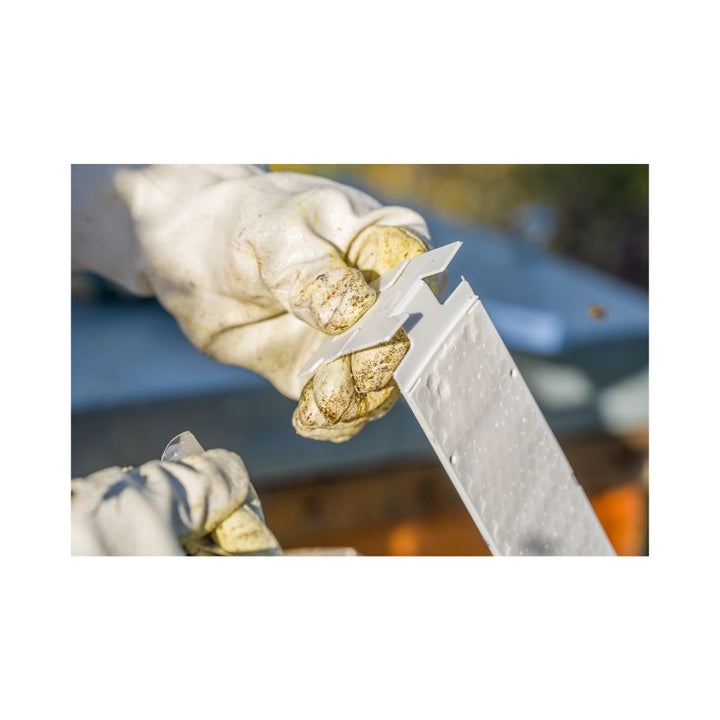 CALISTRIP® BIOX 10 Streifen