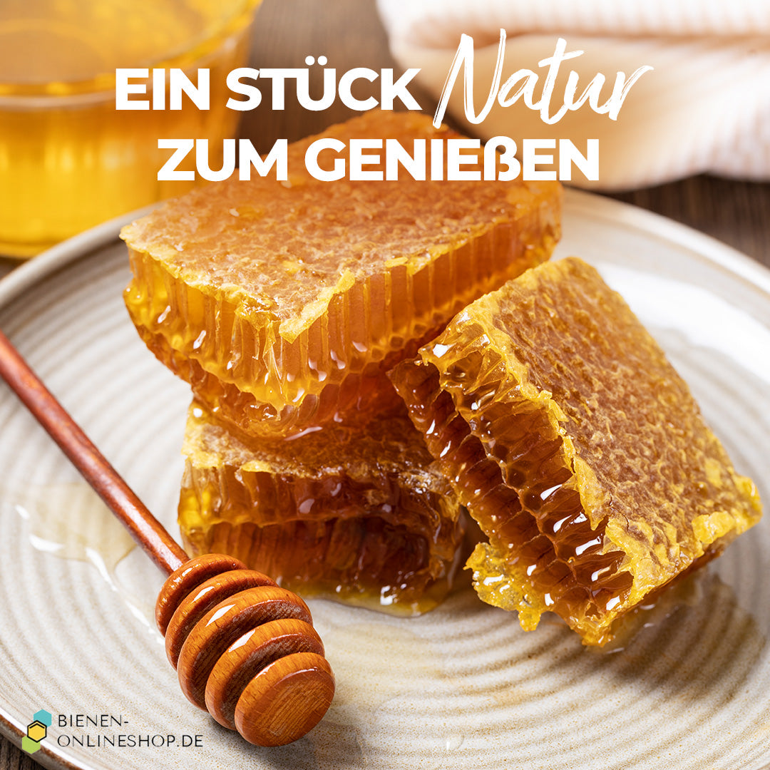 Bio Wabenhonig Sommerhonig – frische Wabenstücke zum Genießen, direkt vom Imker