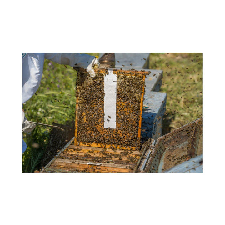 CALISTRIP® BIOX – Varroabehandlung Bienen