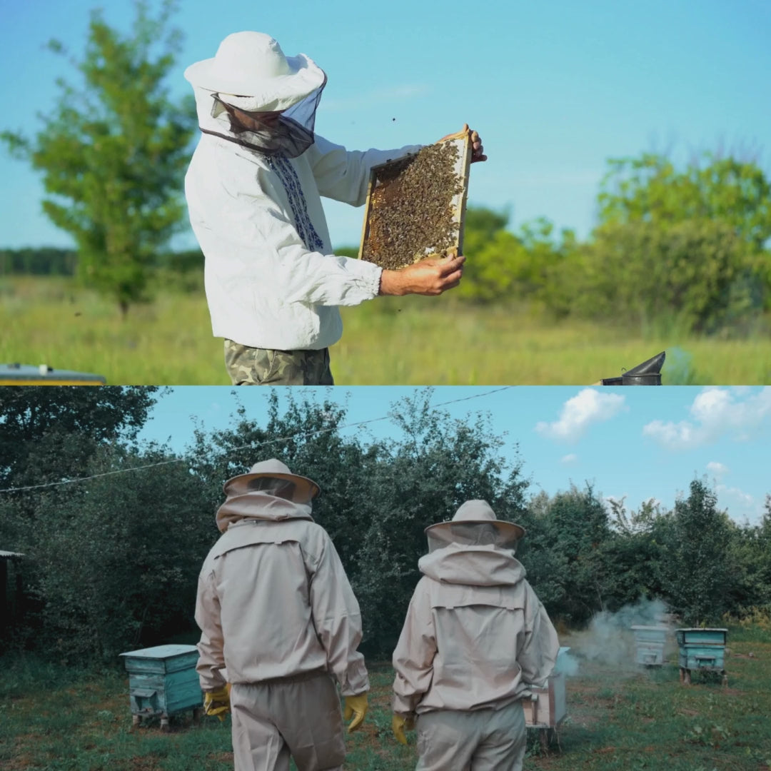 Bienenpatenschaft "Honigliebhaber"